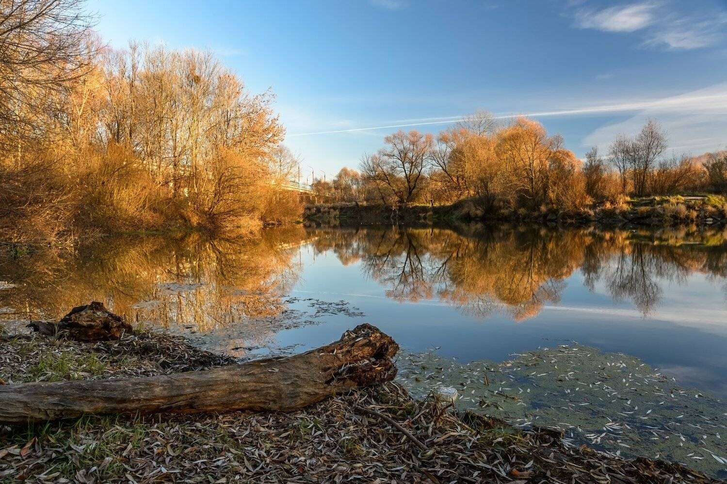 берег, золотая осень, красота, небо, облака, осень, отражение, пейзаж, природа, река, россия, Юлия Лаптева