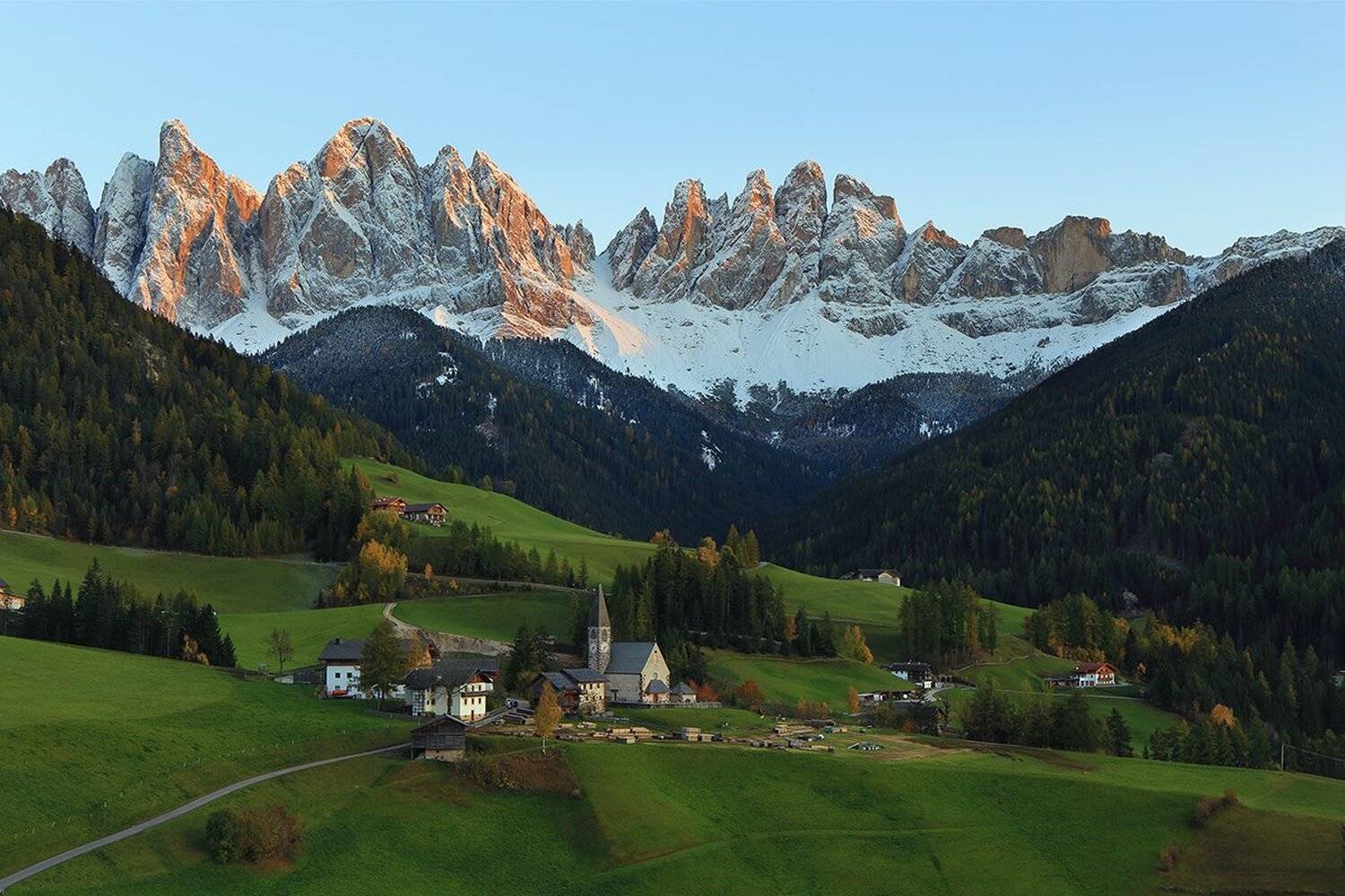 , Игорь Дубровский