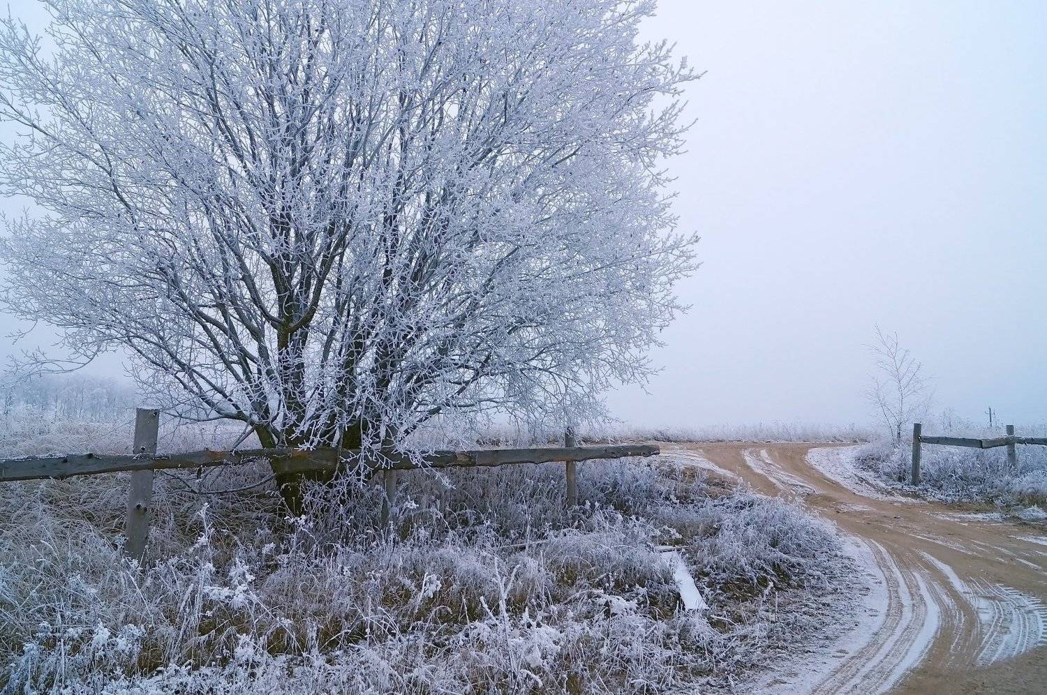 декабрь, дорога, зима, иней, красота, пейзаж, природа, россия,зимний пейзаж,дорога,поворот,снег,русская зима, Юлия Лаптева