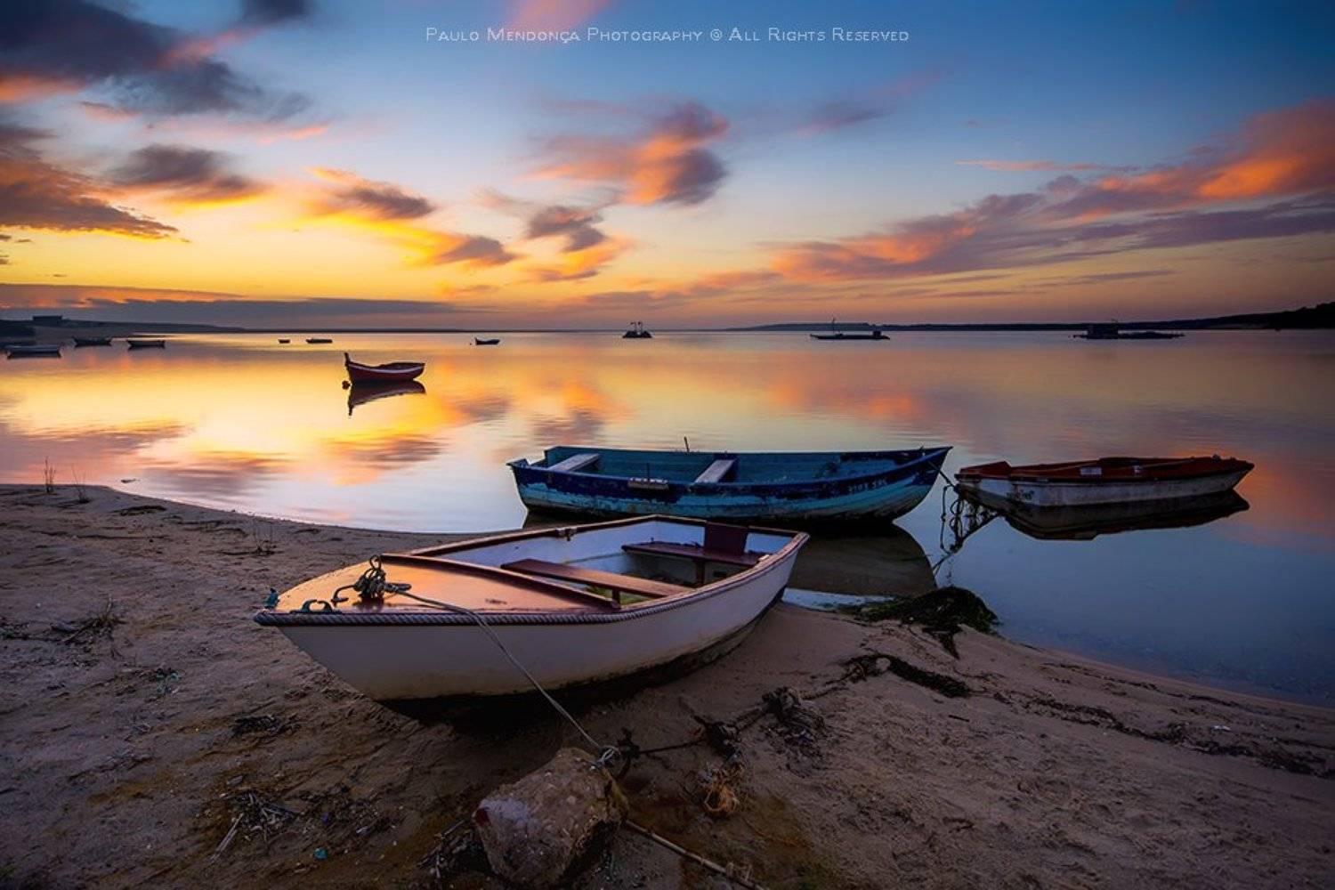 , Paulo Mendon&ccedil;a