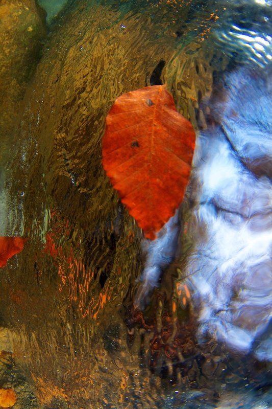 два мира фото превью