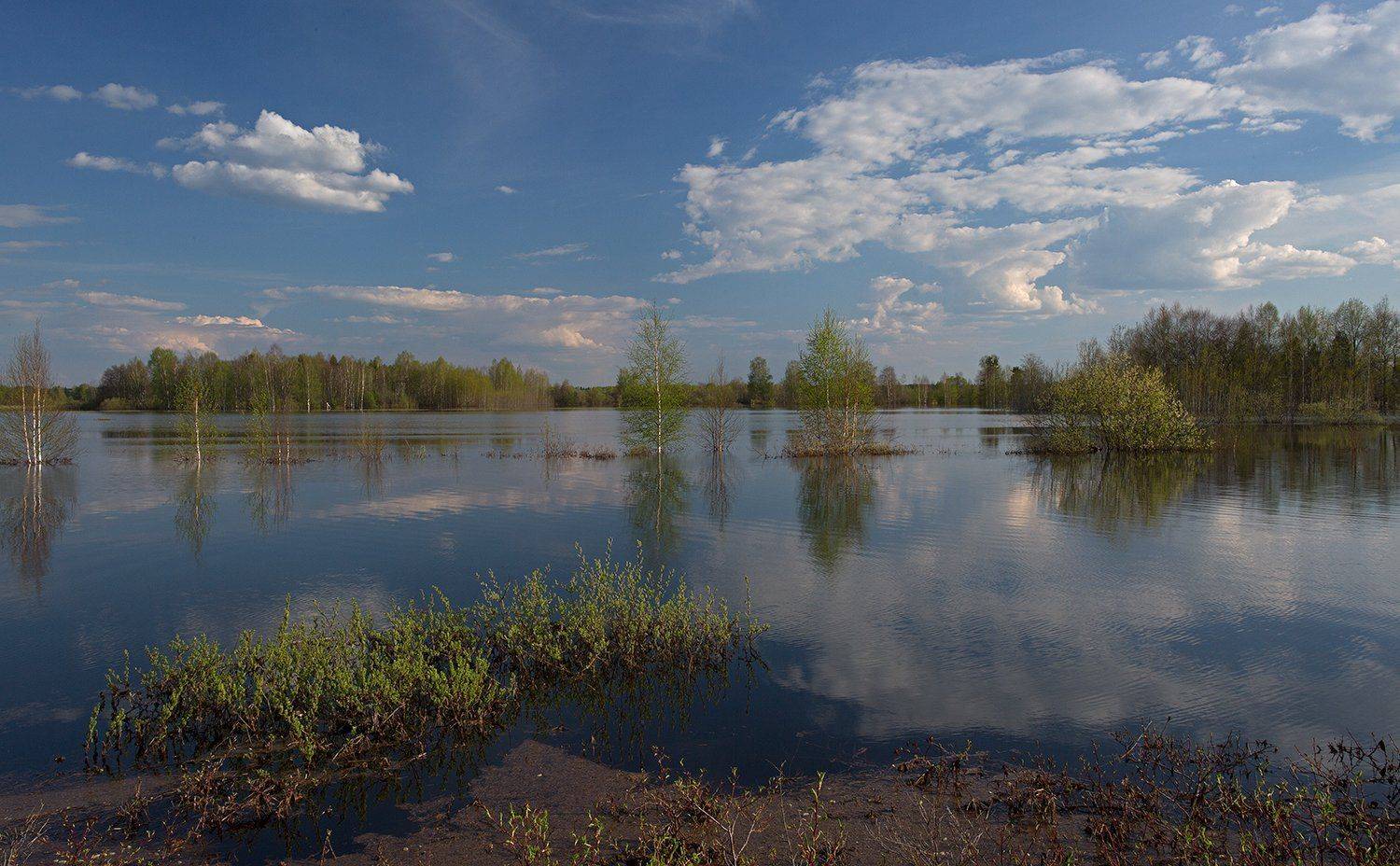 , Поташев Александр