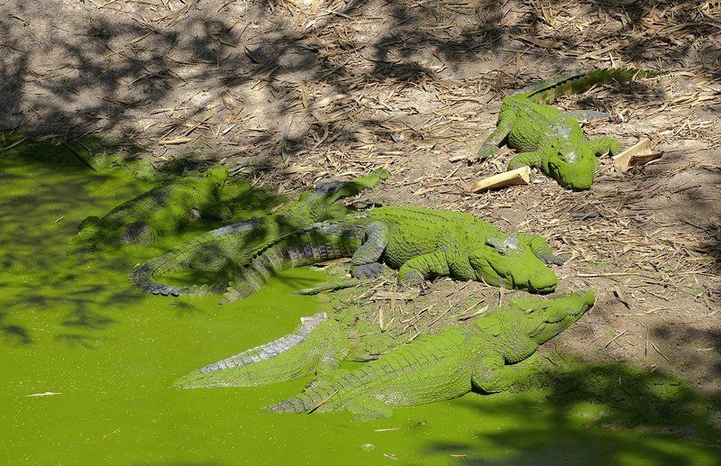 Нас не заметят... фото превью