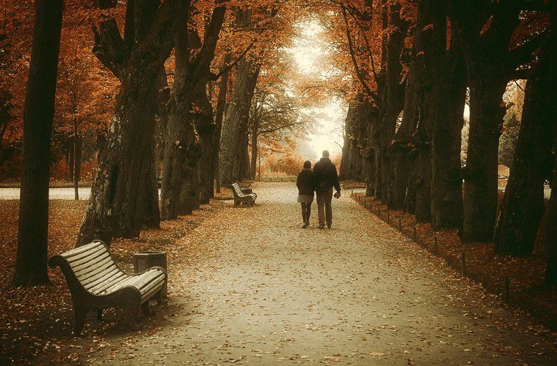 Павловск, осень, парк Осень в Павловске фото превью