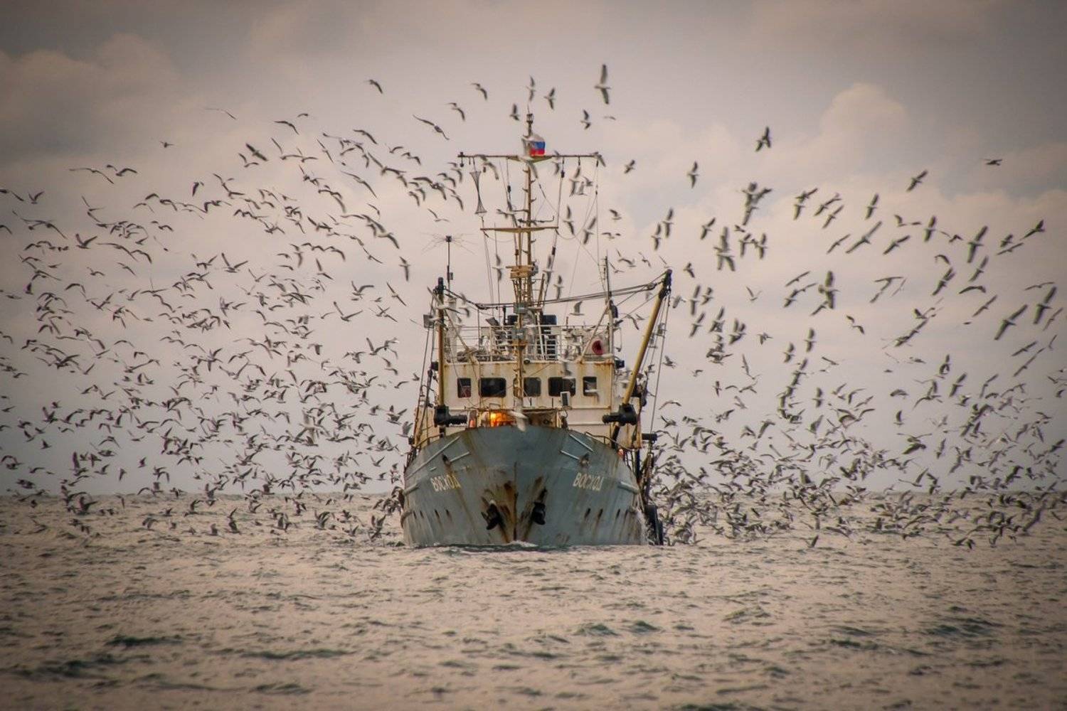 Sea, Вода, Восход, Закат, Корабль, Море, Морской пейзаж, Пейзаж, Птицы, Рыба, Рыбак, Рыбаки, Рыбалка, Чайки, Алексей Яковлев