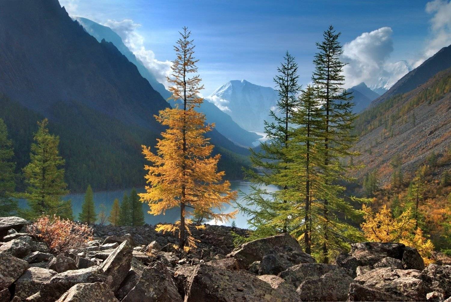 , Клековкин Алексей