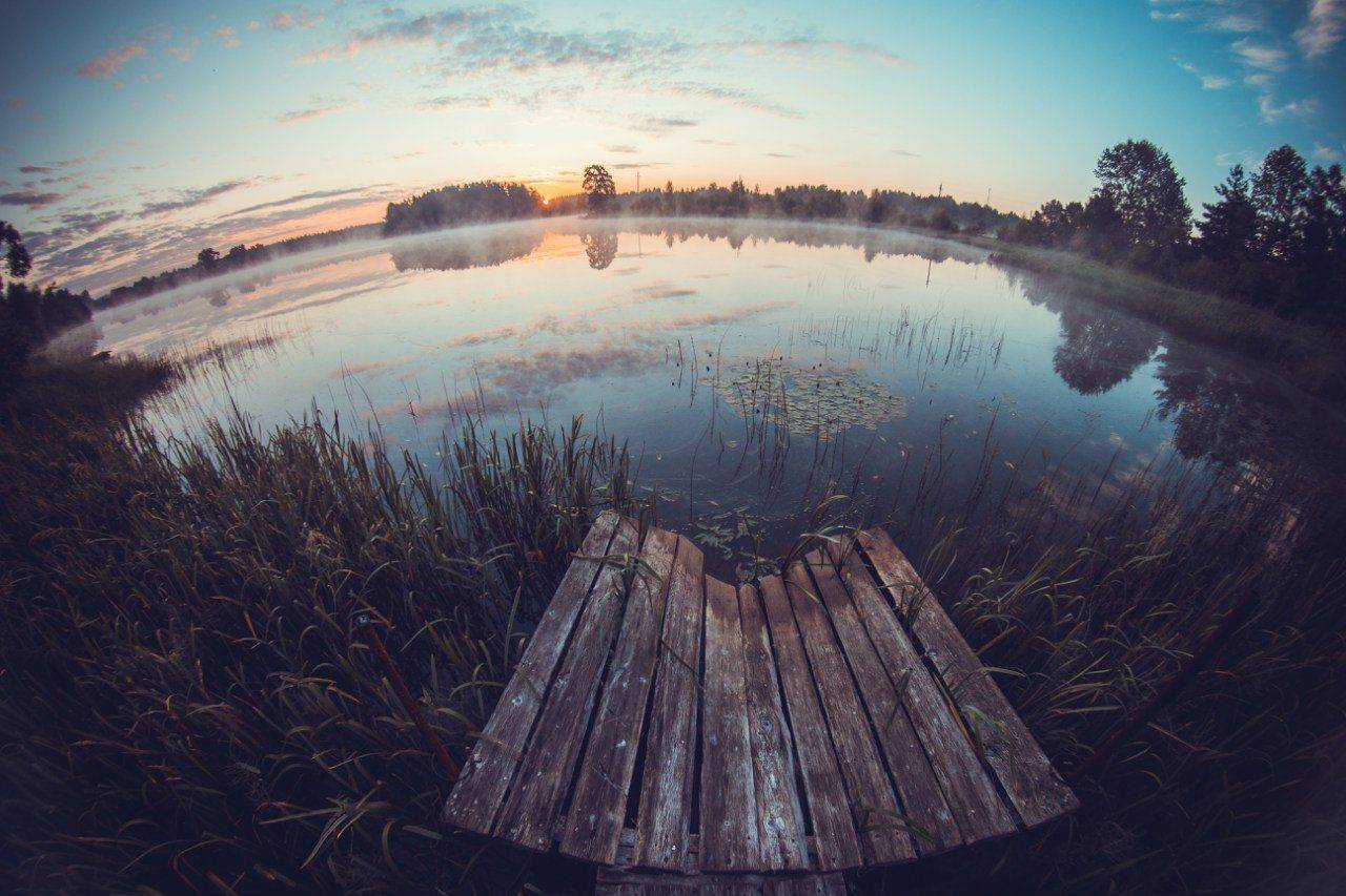 утро рассвет солнце туман лето волга река пено пеленг, Татьяна Афиногенова