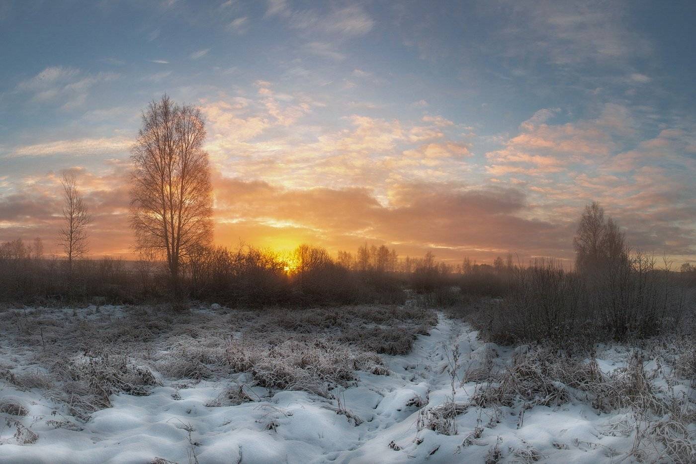 , Дмитрий Вилюнов
