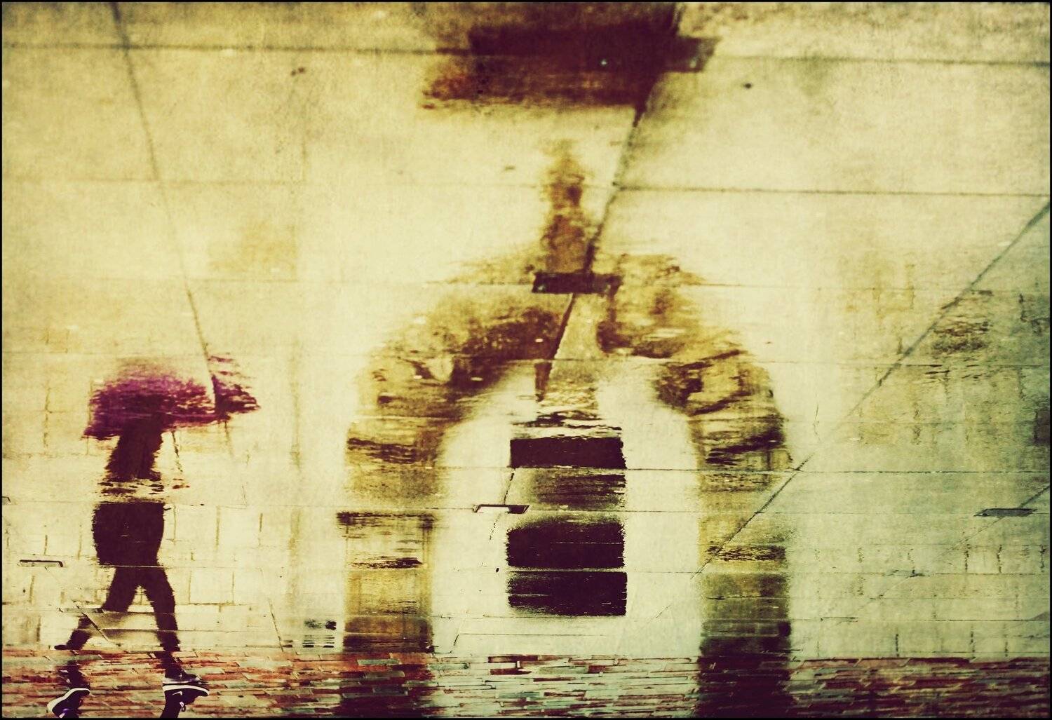 , Krzysztof Trojanowski