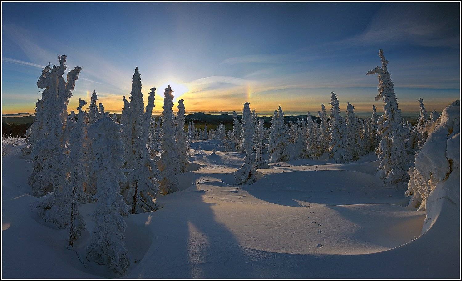 , Лихарев Александр