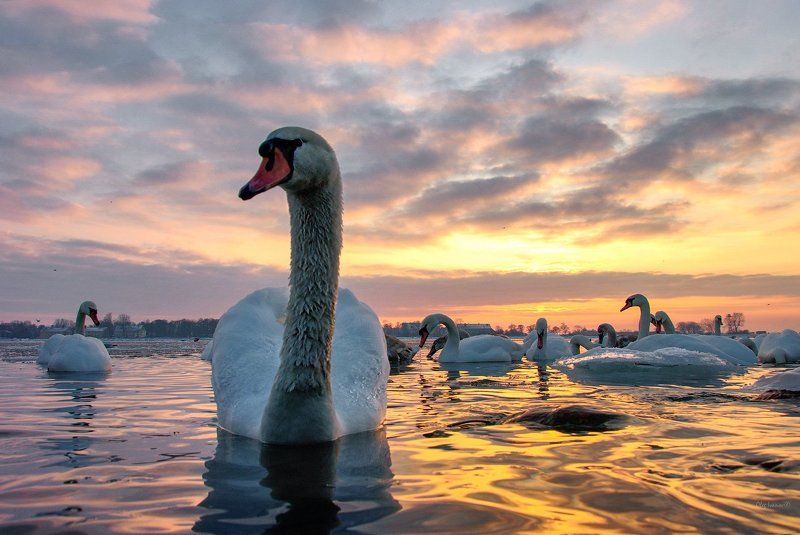 Холодный вечер в теплых красках фото превью