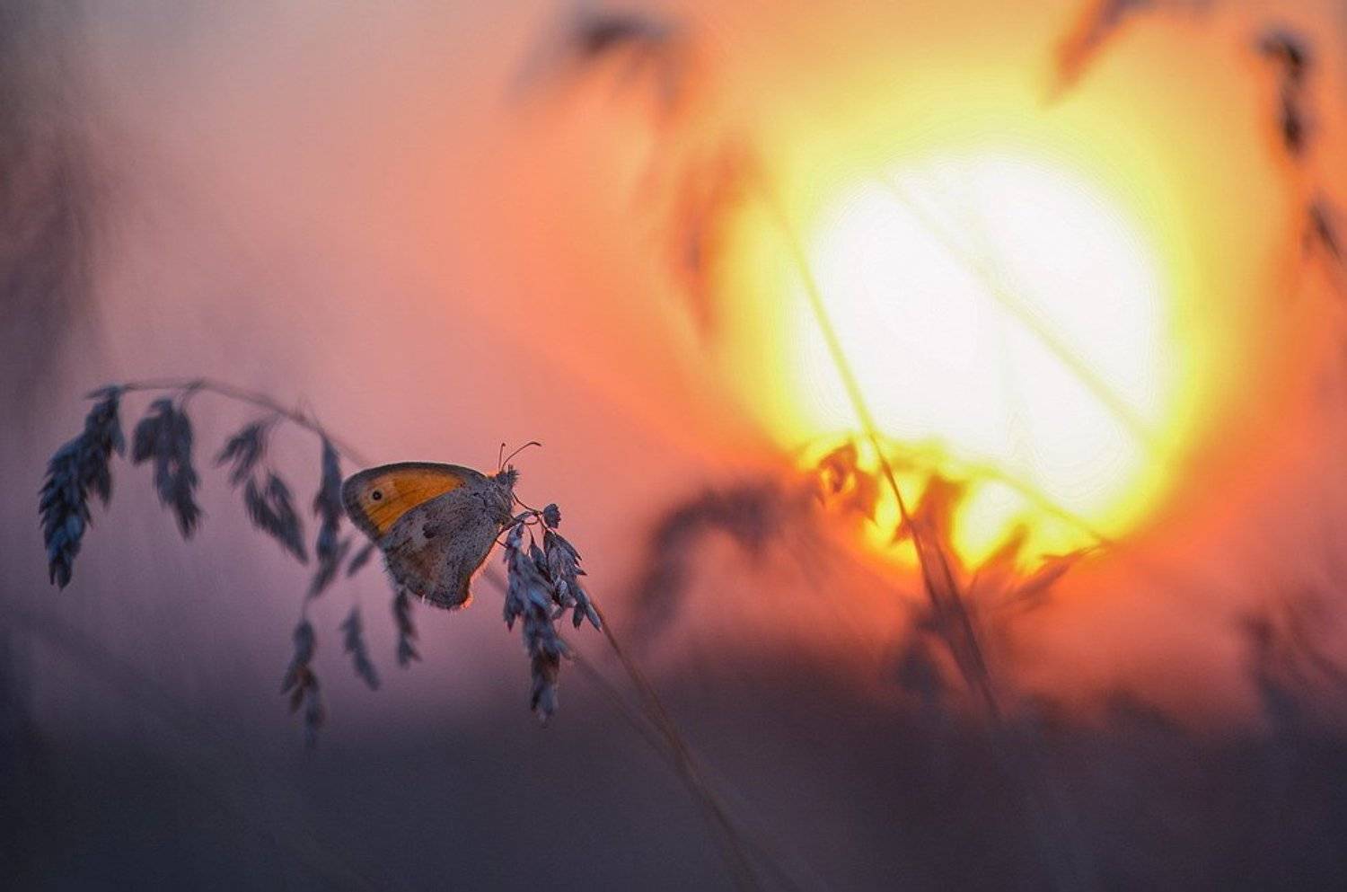 , Вячеслав Мищенко