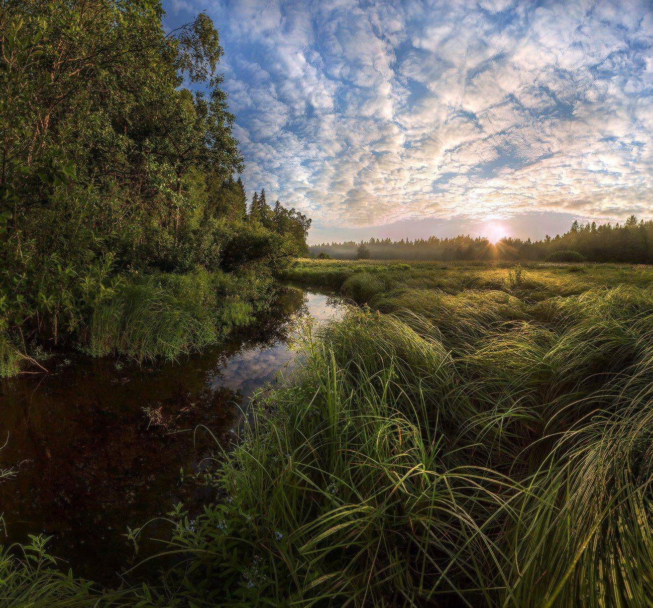 Рассвет, Ручей, Трава, Лашков Фёдор