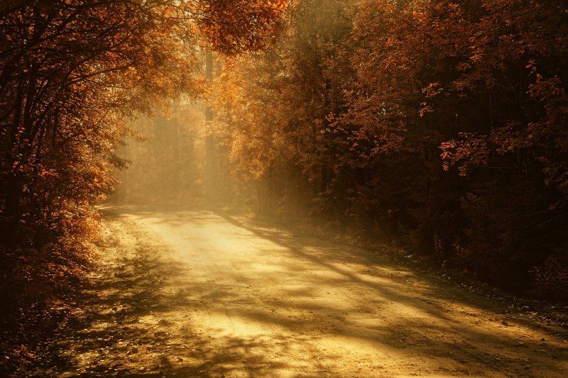 осень, дорога, солнце Осенний блюз фото превью