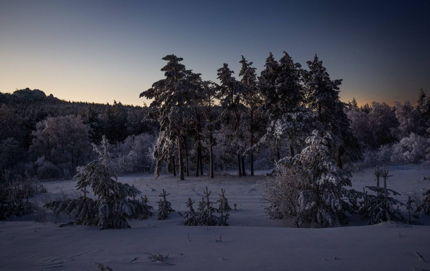 зима, рассвет, тайга, урал, Владимир Ляпин