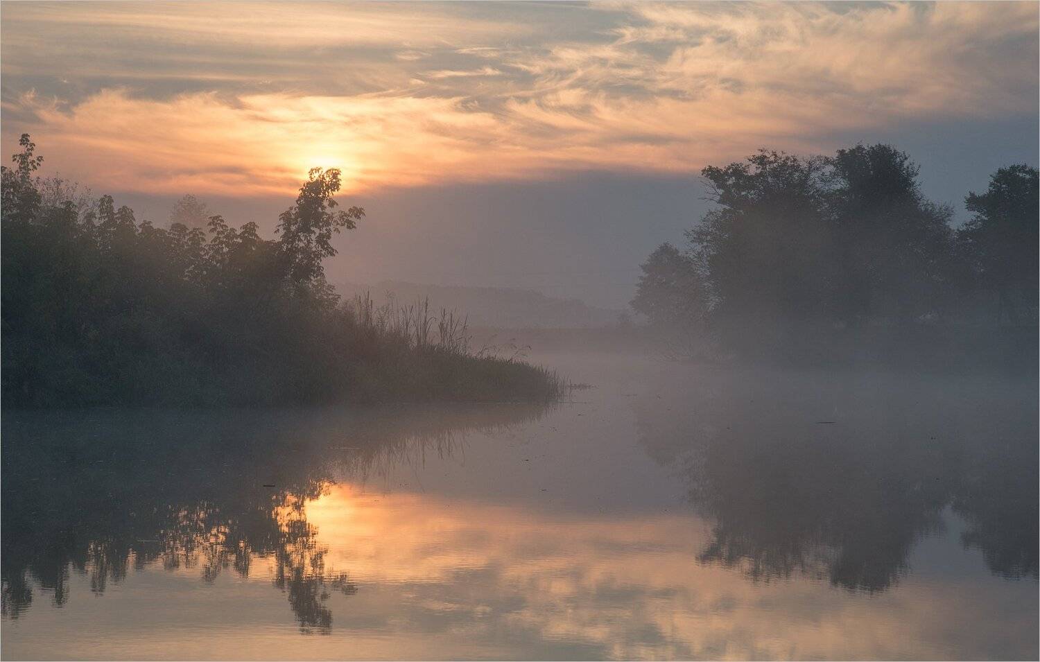 , Николай Шахманцир