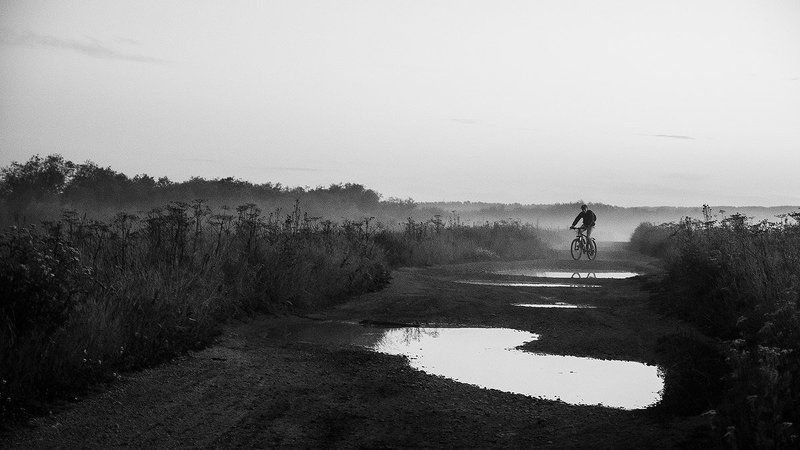 Несколько историй о тумане  фото превью