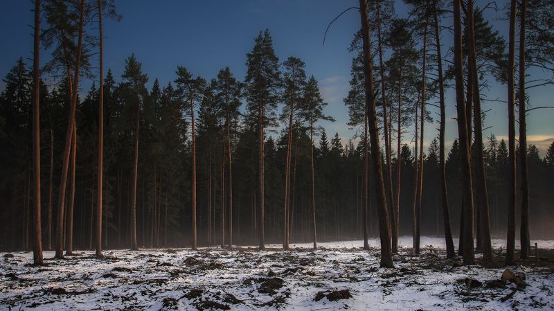 Остались только лучшие фото превью