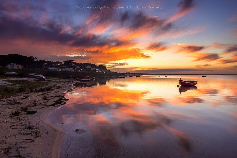 Magic pond фото превью