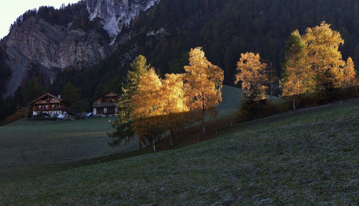 , Игорь Дубровский