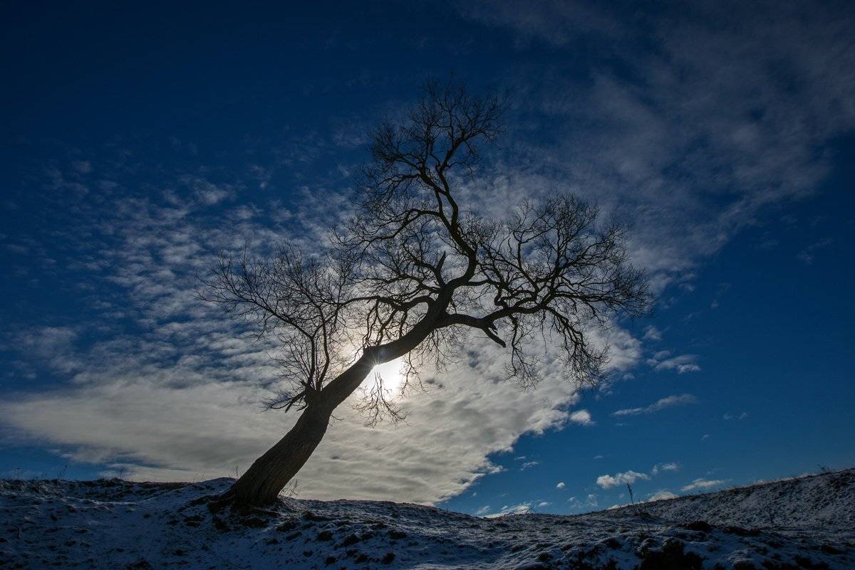 , Валерий Кондратов