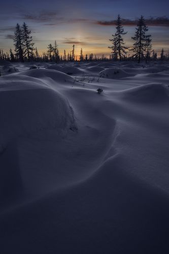 Снежное безмолвие