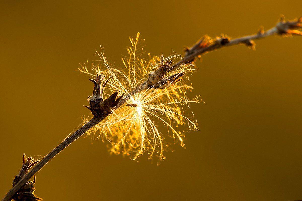 , Валерий Смирнов