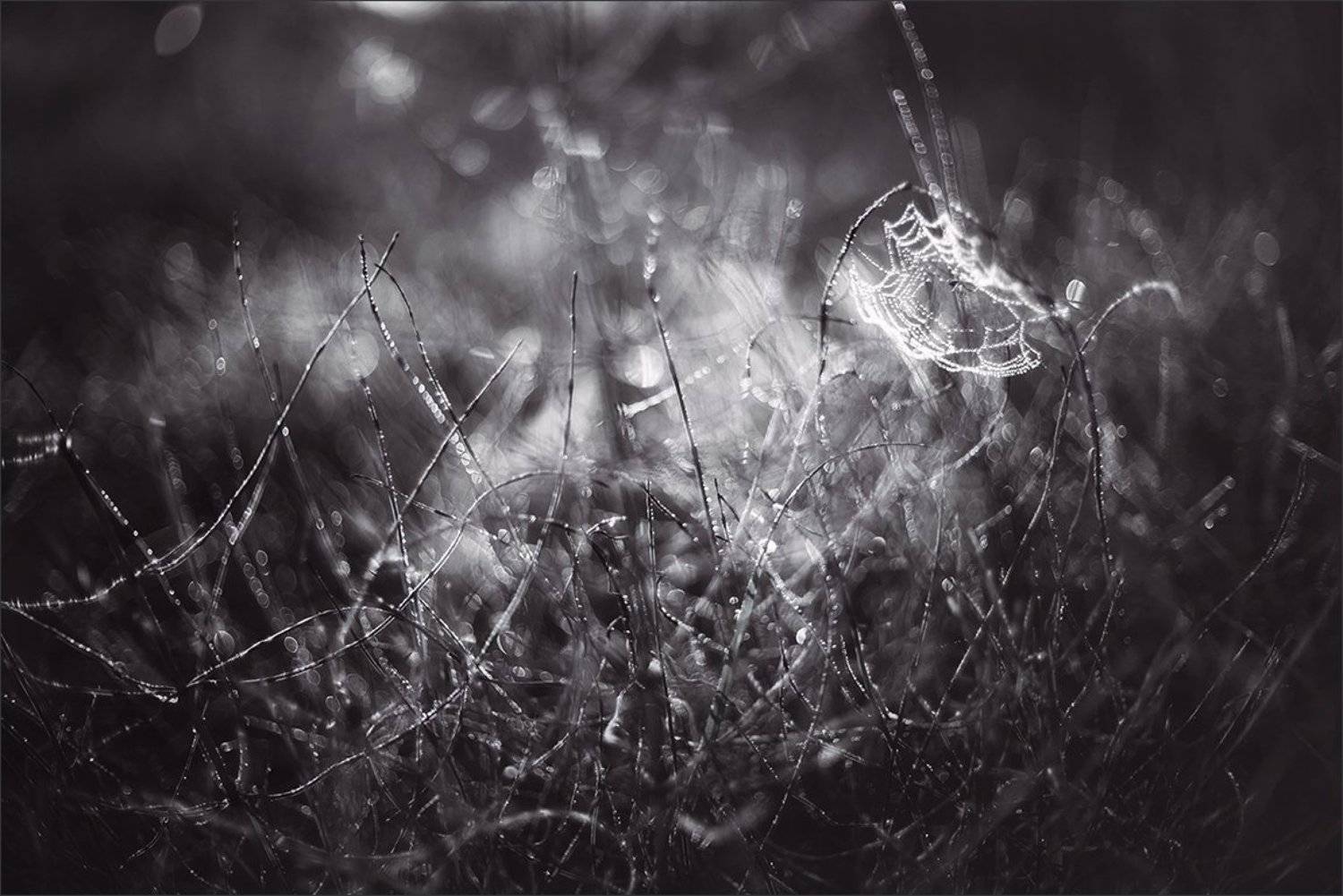 , Суханов Дмитрий