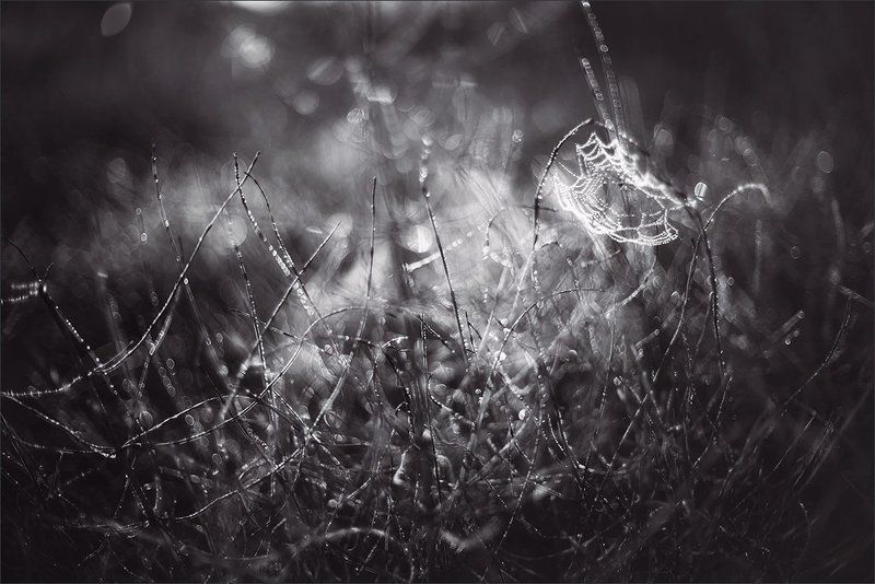 Ночное фото превью