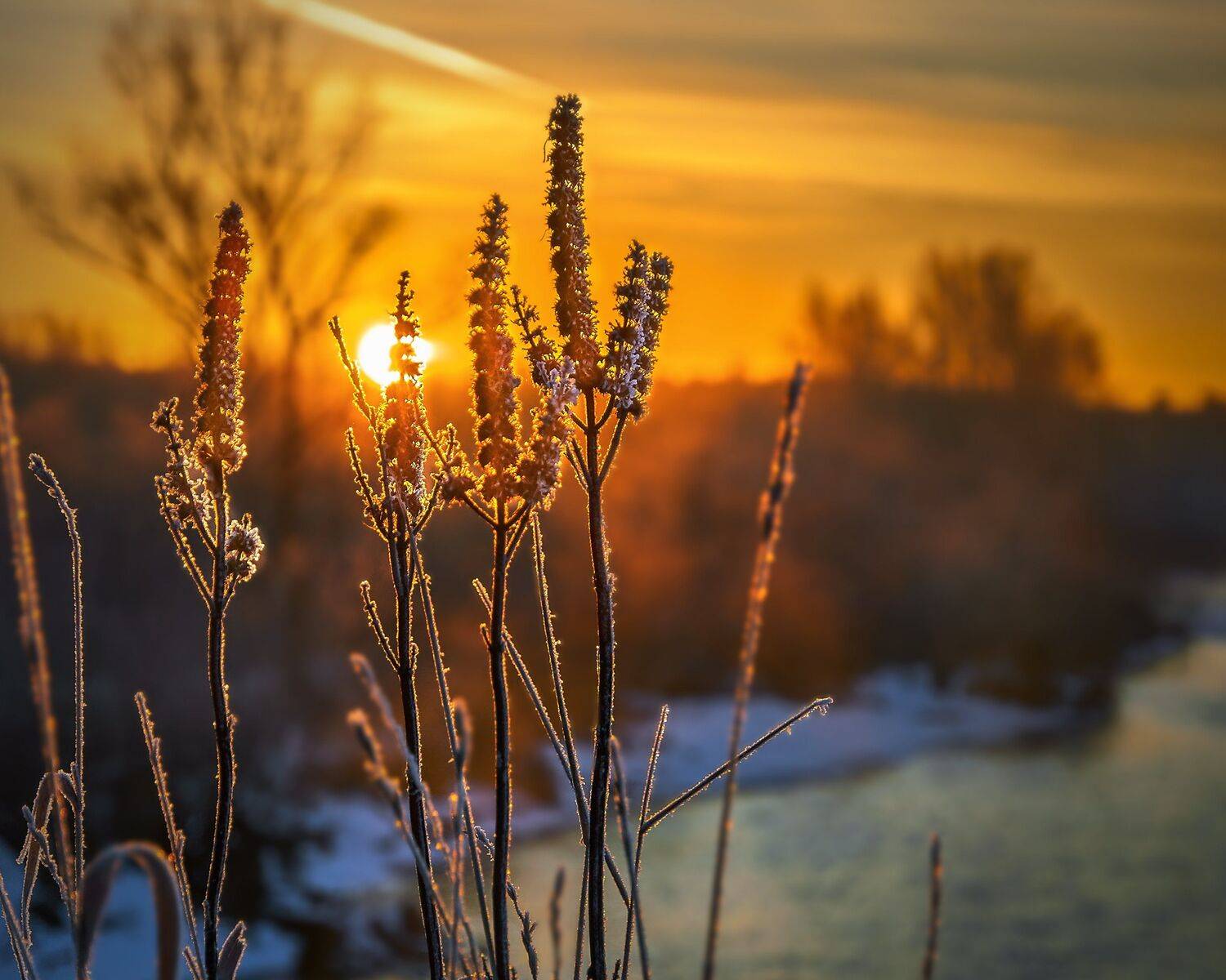 , Олег Богданов