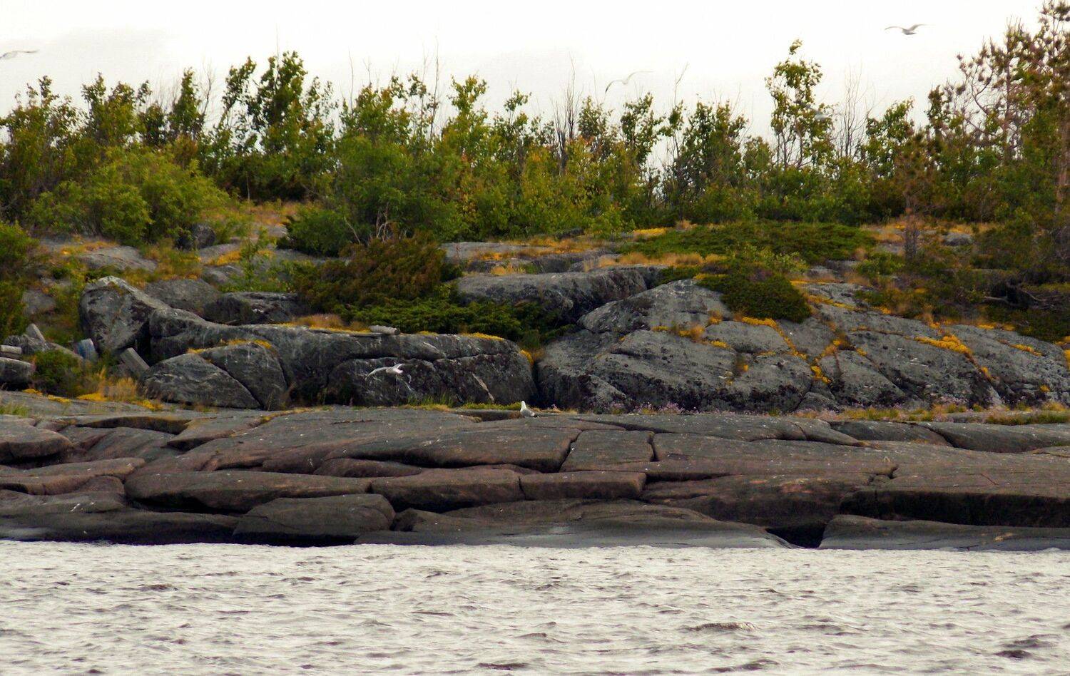 , Марина Никулина