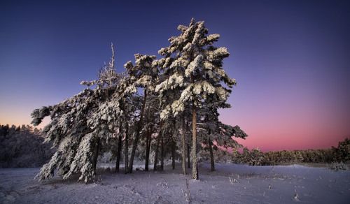 В объятиях зимы