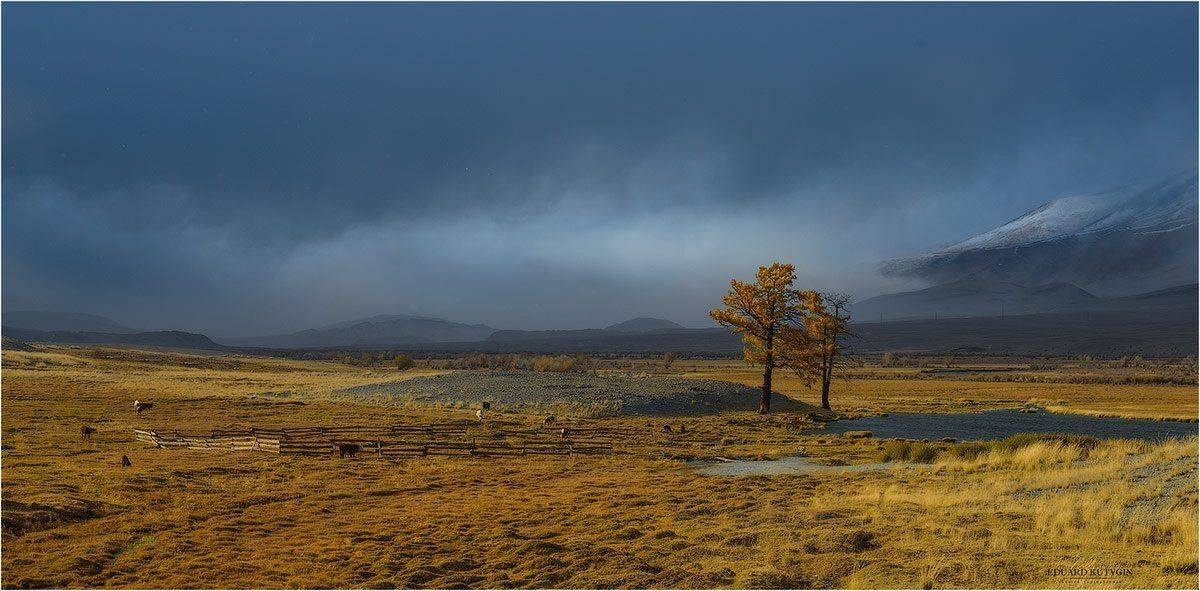 , Кутыгин Эдуард