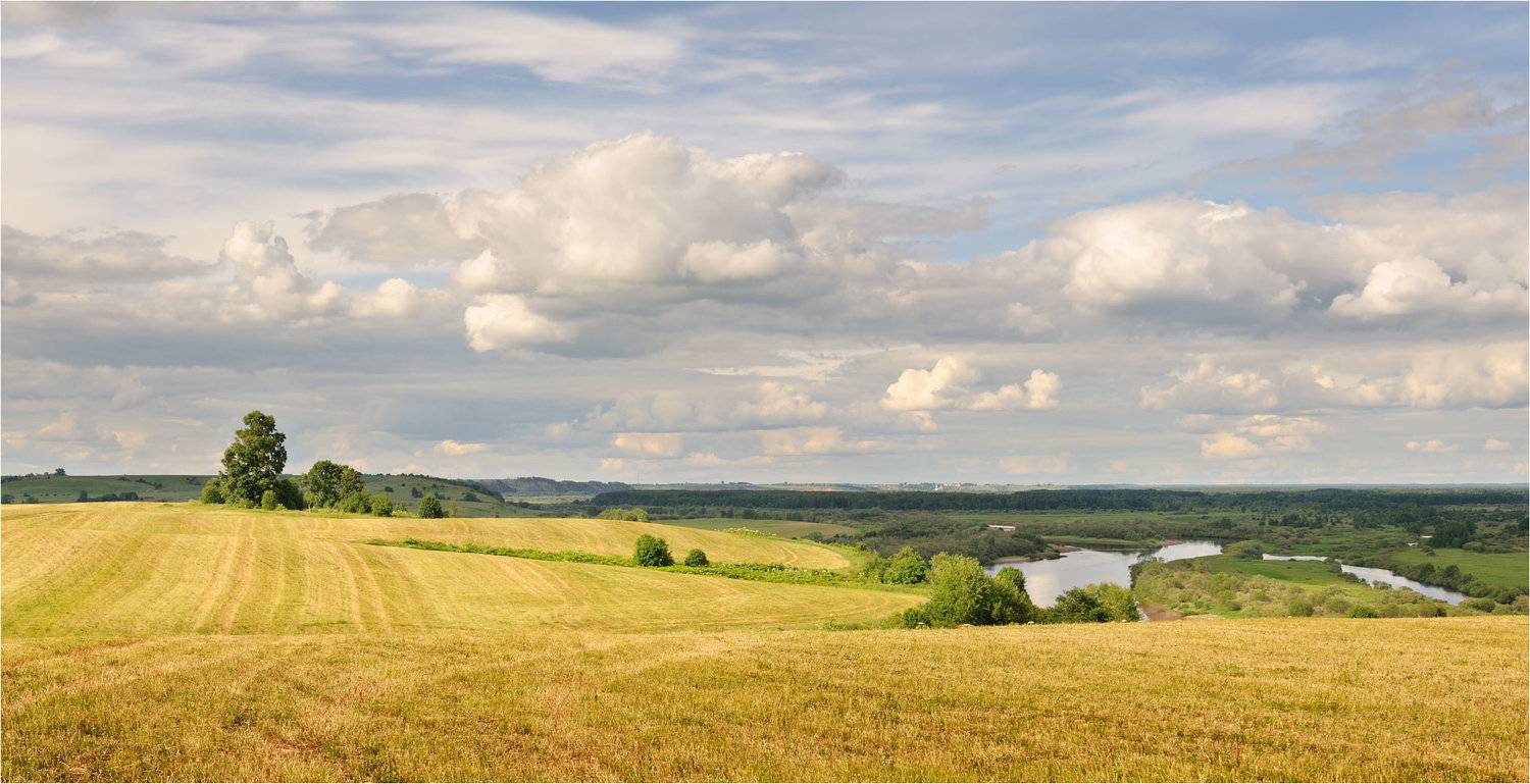 , Анатолий Гулин