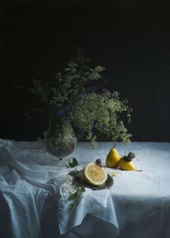 Flores фото превью