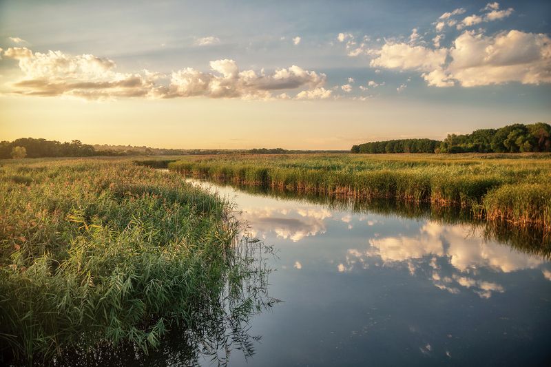 река крынка, пейзаж Река Крынка фото превью