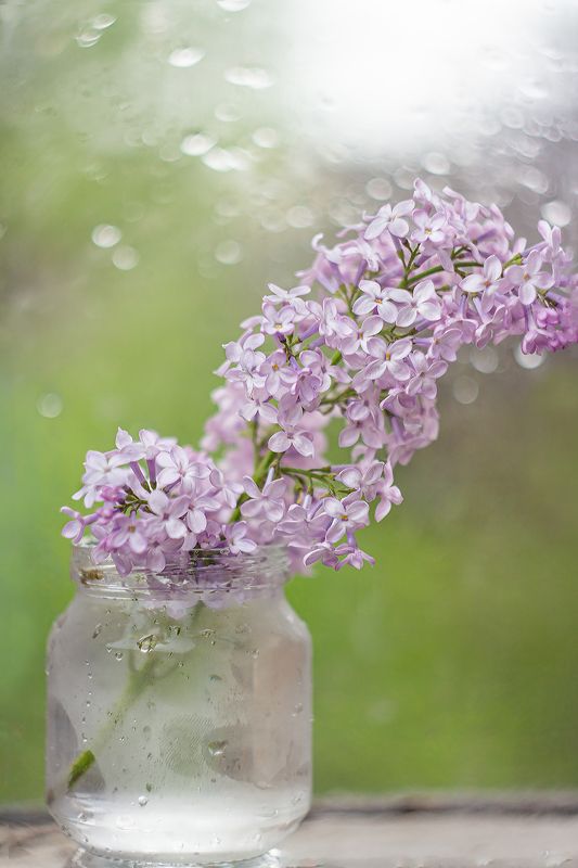 Нежное утро фото превью