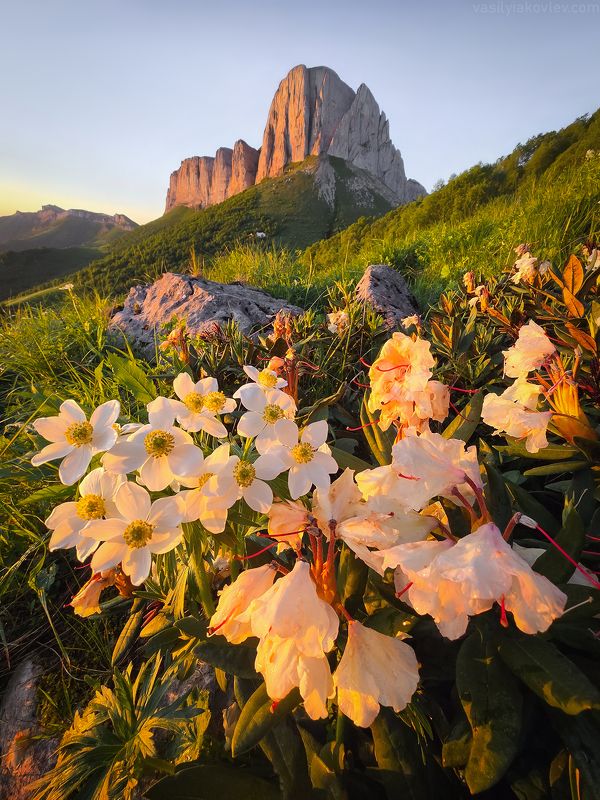 тхач, большой тхач, фототур, яковлевфототур, кавказ, адыгея Восточный Ачешбок фото превью
