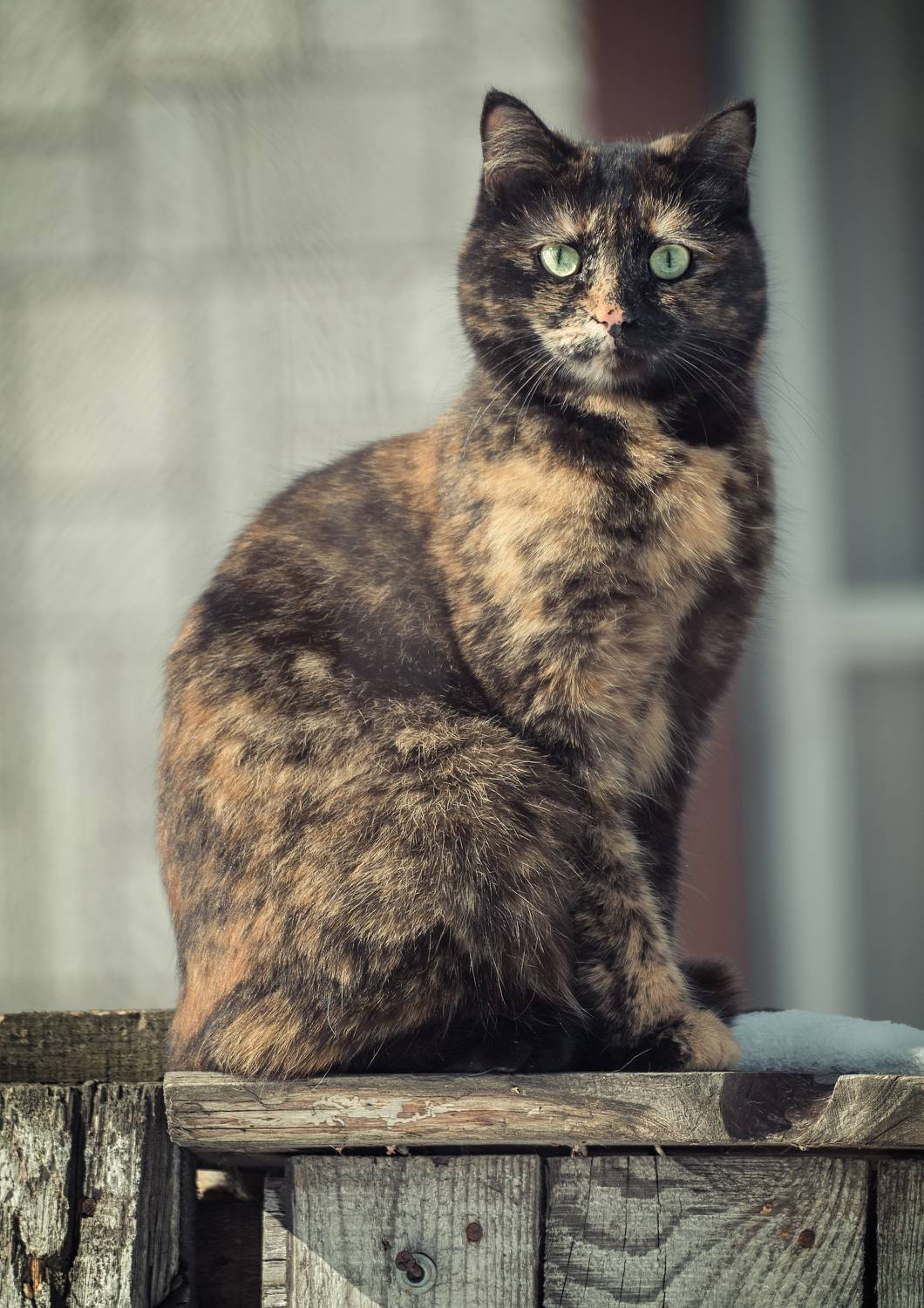 , Рагинская Ольга