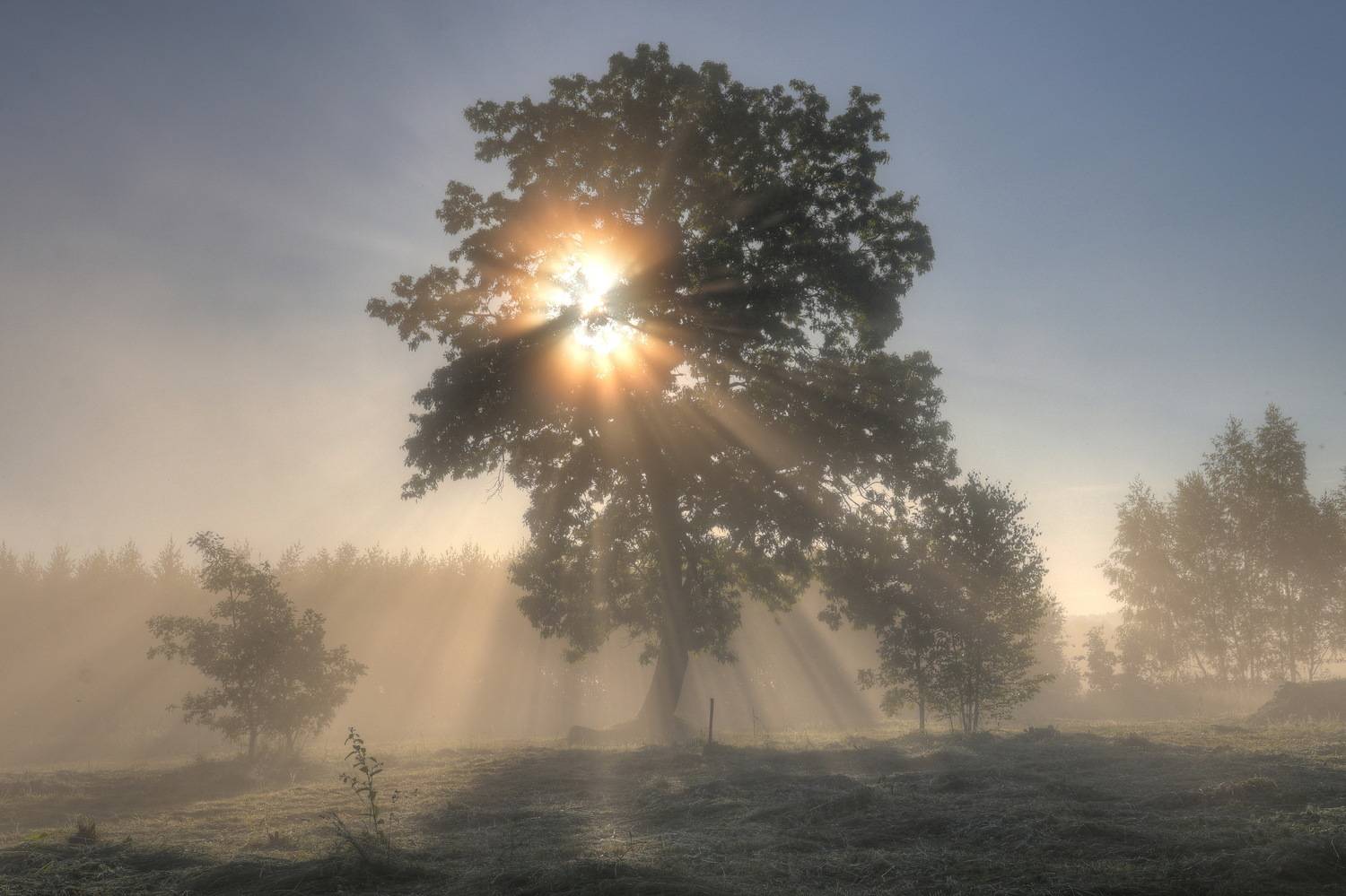 , Добролюбова Тамара