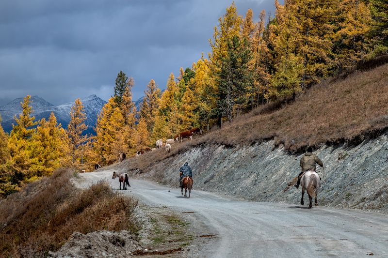 осень, Горный Алтай, дорога Это Алтай фото превью