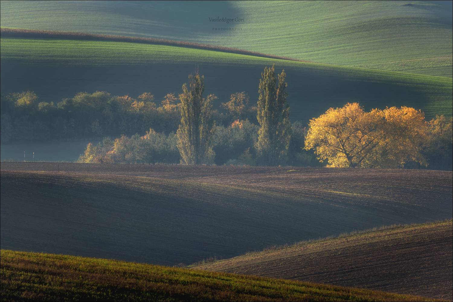южная моравия,пейзаж,линии,south moravian,lines,свет,czech,осень,чехия,landscapes,rurale, Гори Василий