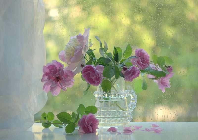 В розовой дымке пионов и роз фото превью