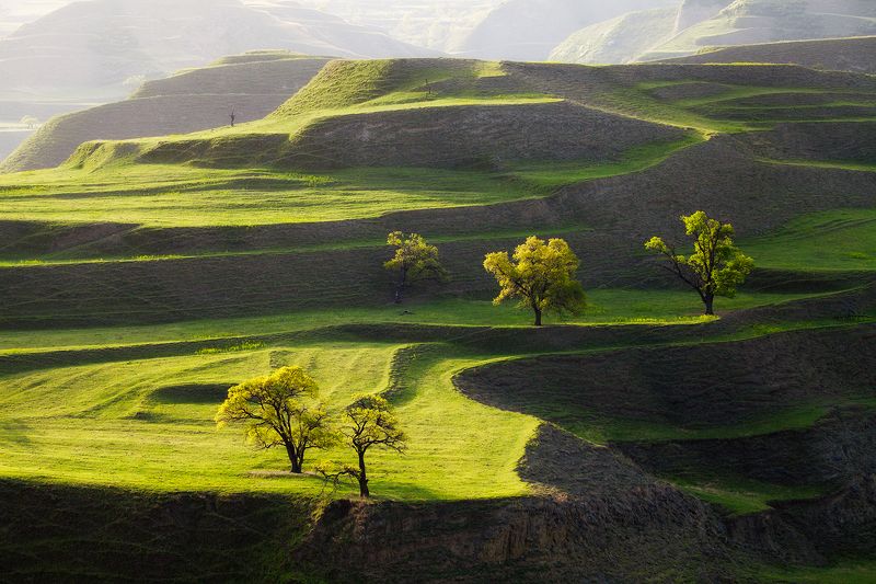 russia, travel, dagestan, nature, trees На Кегерских террасах фото превью