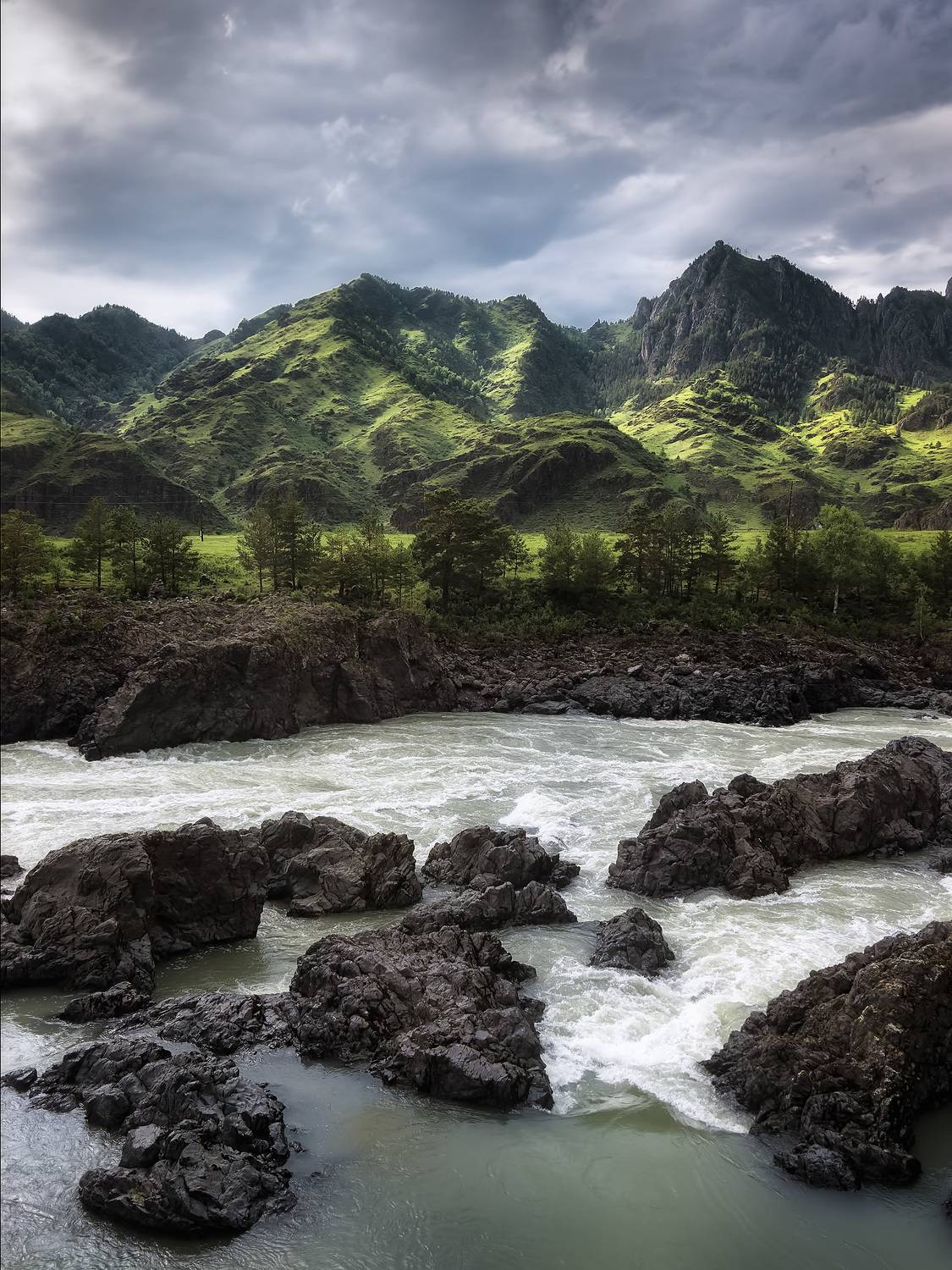 , Антон Кошетаров