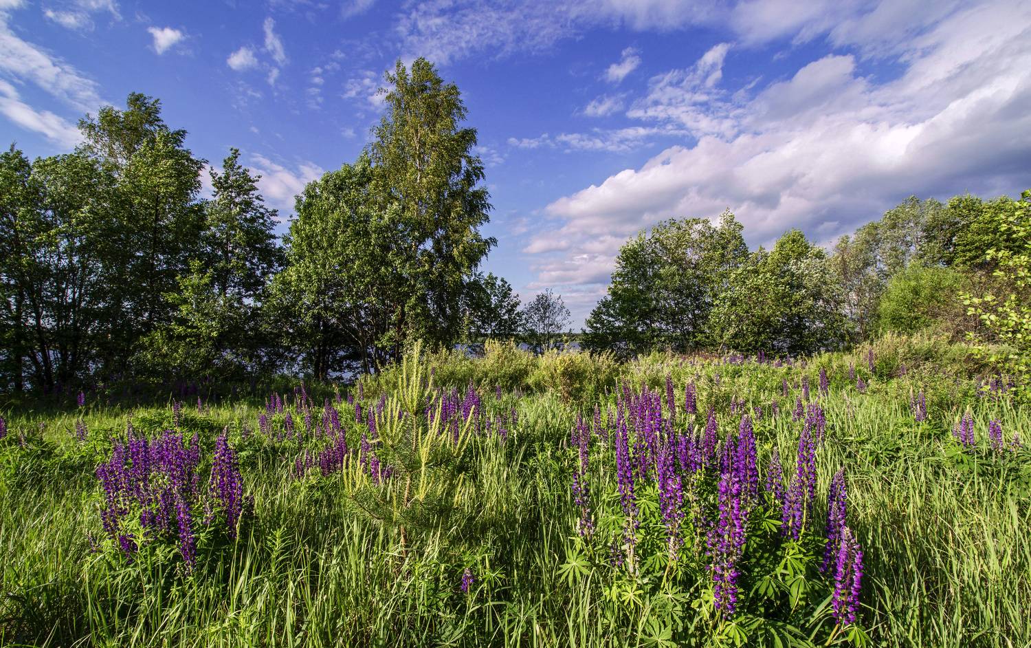 , Шитов Александр