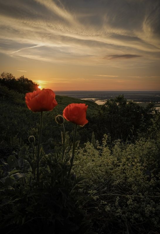Свияжский закат фото превью