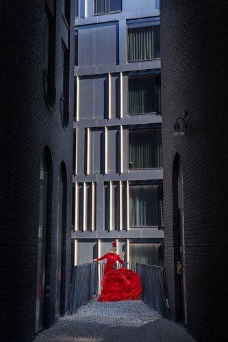 Среди камней