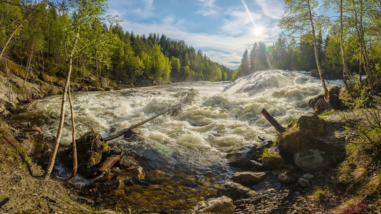 , Ян Сурогин