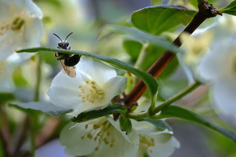 Вдох глубокий, руки шире, не спешите, три-четыре фото превью